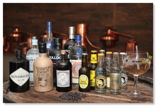Gin-Tasting